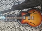 Epiphone ES335 inspired by gibson Met originele koffer, Muziek en Instrumenten, Snaarinstrumenten | Gitaren | Elektrisch, Ophalen