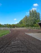 Volpension stalling, alles verzorgd – geen taken