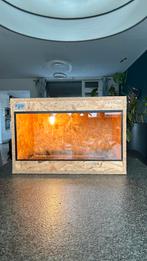 OSB3 Terrarium 60/40/40 + 1 gemonteerde porseleinen fitting, Ophalen, Gebruikt, Terrarium of Paludarium