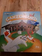Ganzenbord Assen Editie - Jumbo, Hobby en Vrije tijd, Gezelschapsspellen | Bordspellen, Ophalen of Verzenden, Zo goed als nieuw