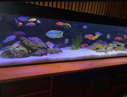 2m aquarium 200x50x50 opknapper 500L, Dieren en Toebehoren, Vissen | Aquaria en Toebehoren, Zo goed als nieuw, Leeg aquarium, Ophalen