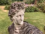 David Michelangelo, Tuin en Terras, Waterpartijen en Fonteinen, Ophalen, Gebruikt, Overige materialen