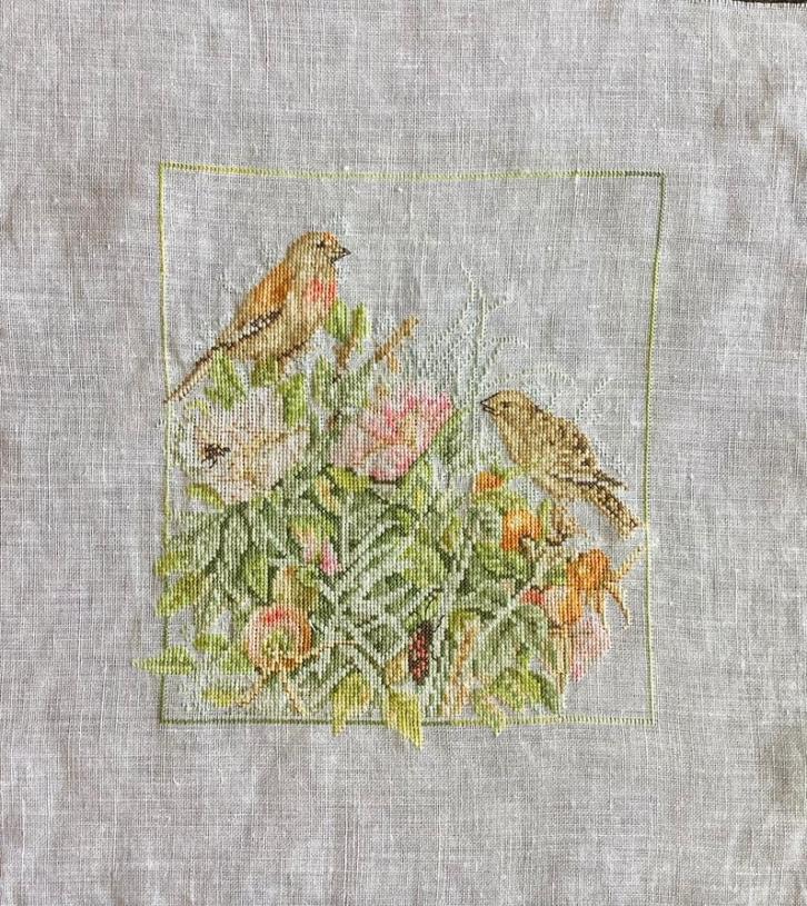 Borduurwerk, zijde, vogel, rozebottel, bloem, vintage, Hobby en Vrije tijd, Borduren en Borduurmachines, Ophalen