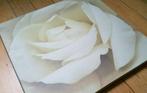 Twee doeken van Harold Feinstein 2003 - White Iceberg Rose., Minder dan 50 cm, Ophalen of Verzenden, Zo goed als nieuw, Schilderij