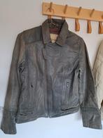 Jack rivet  leren jack maat L, Jack Thrown, Maat 42/44 (L), Ophalen of Verzenden, Jasje