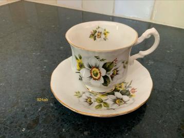 Mismatched Paragon & Royal Standard Kop en Schotel beschikbaar voor biedingen