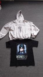 T-shirt en hoodie trui,maat 158 shirt hoodie S,, Ophalen of Verzenden, Zo goed als nieuw, Jongen, Trui of Vest