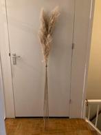 Grote Pampas pluimen - 5 stuks, Huis en Inrichting, Woonaccessoires | Droogbloemen, Ophalen, Nieuw