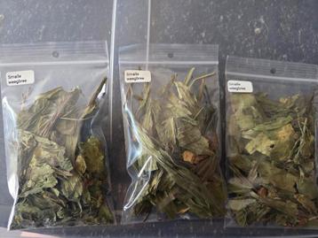 Brandnetel&Smalle weegbree (voeding/garnalen/slakken/vissen) beschikbaar voor biedingen