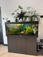 Juwel Aquarium 240 L met led verlichting en toebehoren, Dieren en Toebehoren, Vissen | Aquaria en Toebehoren, Ophalen, Gebruikt