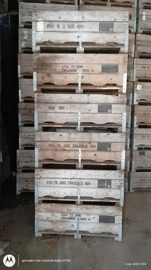 Houten Voorraadkisten / Palletboxen - Gebruikt, Zakelijke goederen, Machines en Bouw | Overig, Ophalen