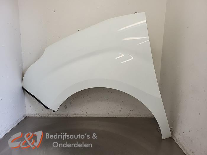 Scherm links-voor van een Fiat Doblo (XXXXXXXX), Auto-onderdelen, Carrosserie en Plaatwerk, Fiat, Gebruikt, 3 maanden garantie