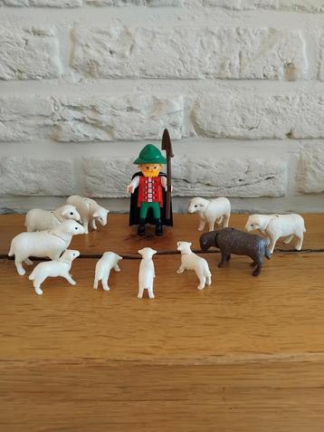 Herder met heleboel schapen beschikbaar voor biedingen