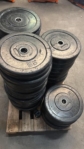 Grote voorraad bumperplates (20, 10 en 5 kg) beschikbaar voor biedingen