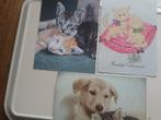 3 ansichtkaarten poes en hondje, Verzamelen, Ansichtkaarten | Dieren, Gelopen, 1960 tot 1980, Ophalen of Verzenden, Hond of Kat