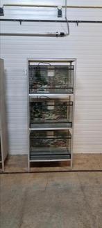 3 Terrariums met stevige stelling, 0 tot 2 jaar