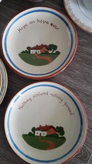 2 Bordjes Dartmouth Pottery beschikbaar voor biedingen