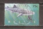 Belize, Walvishaai, 2004., Verzenden, Midden-Amerika, Gestempeld
