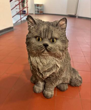 Levensgroot Perzische kat beeld beschikbaar voor biedingen