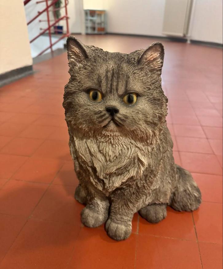 Levensgroot Perzische kat beeld, Tuin en Terras, Tuinbeelden, Zo goed als nieuw, Dierenbeeld, Beton, Ophalen of Verzenden