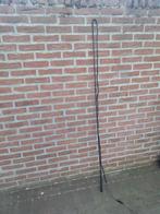 Longeer zweep NIEUW, Ophalen, Nieuw, Overige soorten