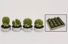 Theelicht/Waxinelicht Cactus in houten kistje beschikbaar voor biedingen