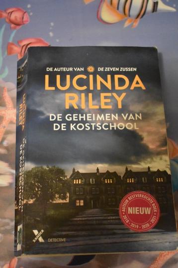boek van Lucinda Riley/de geheimen van de kostschool beschikbaar voor biedingen