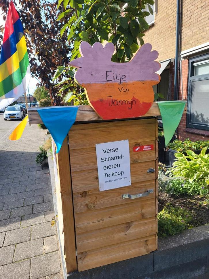Verse witte boerderij eieren., Dieren en Toebehoren, Pluimvee, Kip, Vrouwelijk