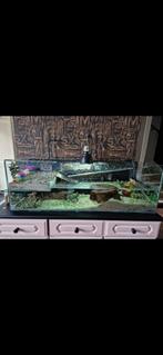 Schildpadden aquarium met eiland, Ophalen of Verzenden, Leeg aquarium