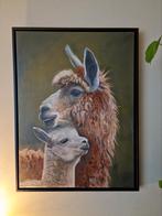 Lama Familie Schilderij, Ophalen of Verzenden