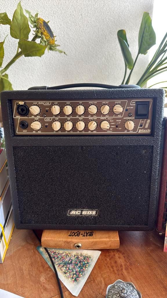 Mark accoustic AC 601. Akoestische gitaar versterker., Muziek en Instrumenten, Versterkers | Bas en Gitaar, Gebruikt, Gitaar, Ophalen