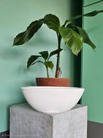 Elho Oval Pot 60cm - Uniek & Zeldzaam!, Tuin en Terras, Bloempotten, Kunststof, 40 cm of meer, Ophalen of Verzenden, Zo goed als nieuw