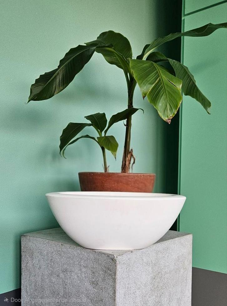 Elho Oval Pot 60cm - Uniek & Zeldzaam!, Tuin en Terras, Bloempotten, Zo goed als nieuw, Kunststof, Binnen, Balkon, Minder dan 40 cm