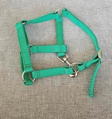 Hobbyhorse halster groen beschikbaar voor biedingen
