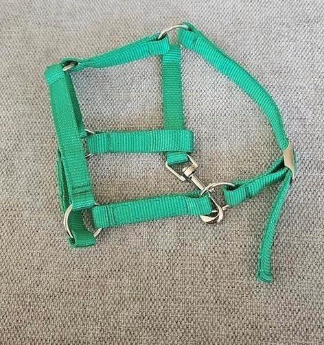 Hobbyhorse halster groen, Hobby en Vrije tijd, Overige Hobby en Vrije tijd, Nieuw, Ophalen of Verzenden