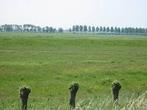 Gezocht weiland met stallen omgeving kloetinge, Dieren en Toebehoren, Stalling en Weidegang