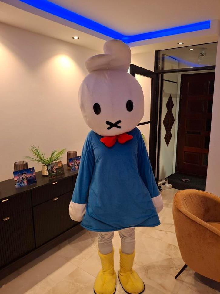 Nijntje mascotte te huur, Hobby en Vrije tijd, Feestartikelen | Verhuur, Zo goed als nieuw, Overige, Ophalen of Verzenden