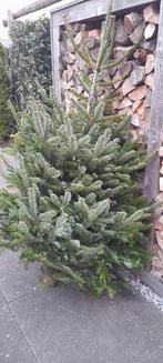 Verse kerstboom, Diversen, Ophalen, Nieuw