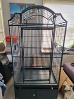 Vogelkooi, Dieren en Toebehoren, Ophalen, Zo goed als nieuw, Metaal, Vogelkooi
