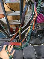 Halster, Dieren en Toebehoren, Ophalen of Verzenden, Gebruikt, Overige soorten