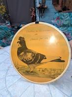 Duiven diploma, Antiek en Kunst, Curiosa en Brocante, Ophalen of Verzenden