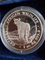 African wildlife: Somalisch en Ghana luipaard  Nu € 475, Ophalen of Verzenden, Zilver