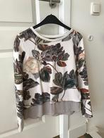 Trui Promiss maat L, Kleding | Dames, Truien en Vesten, Promiss, Ophalen, Zo goed als nieuw, Maat 38/40 (M)