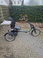 Van Raam Easy Rider 3. (24,8 ah), Fietsen en Brommers, Fietsen | Driewielfietsen, Ophalen of Verzenden, Gebruikt