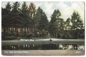 Zeist, Vijver bij 't Groene Bergje. Lees beschrijving beschikbaar voor biedingen