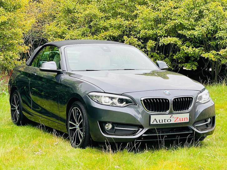 BMW 2-serie Cabrio 230i High Executive/Navi/Leder(Bij 2020), Auto's, BMW, Bedrijf, Te koop, 2-Serie, ABS, Achteruitrijcamera, Airbags