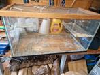 Mooie hamster bak, Dieren en Toebehoren, Knaagdieren en Konijnen | Hokken en Kooien, Gebruikt, Hok, Hamster, 75 tot 110 cm