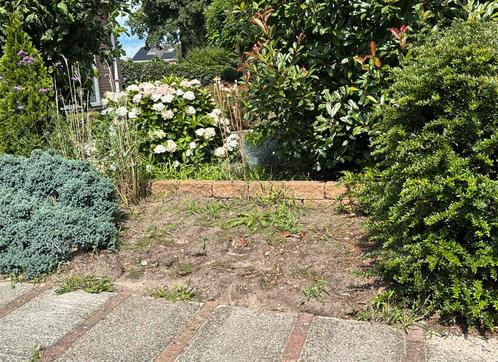 Gratis op te halen | zwarte aarde / tuingrond, Tuin en Terras, Aarde en Mest, Tuinaarde, Ophalen