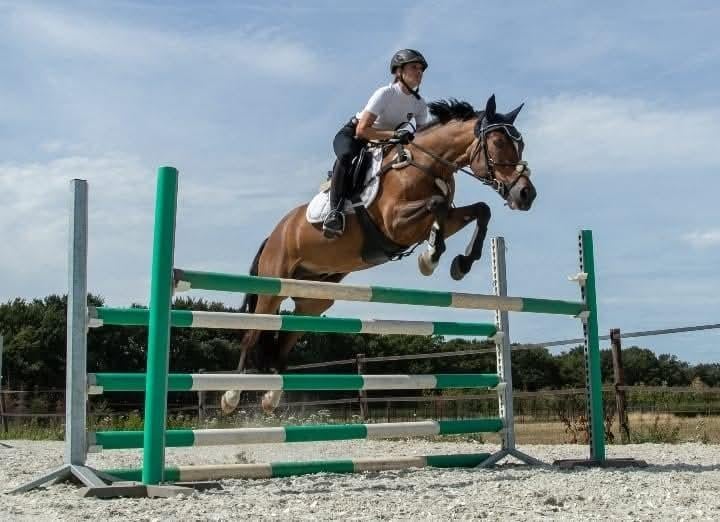 Bijrijder aangeboden, Diensten en Vakmensen, Dieren | Paarden | Verzorging, Oppas en Les