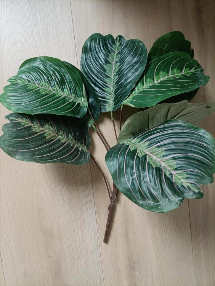 Zgan veel mooie kunststof planten voor terrarium nep, Dieren en Toebehoren, Reptielen en Amfibieën | Toebehoren, Zo goed als nieuw